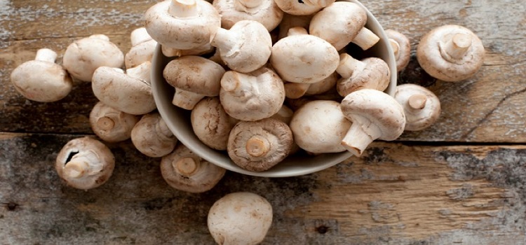 Mushrooms: Clean, then Cook, then Eat
